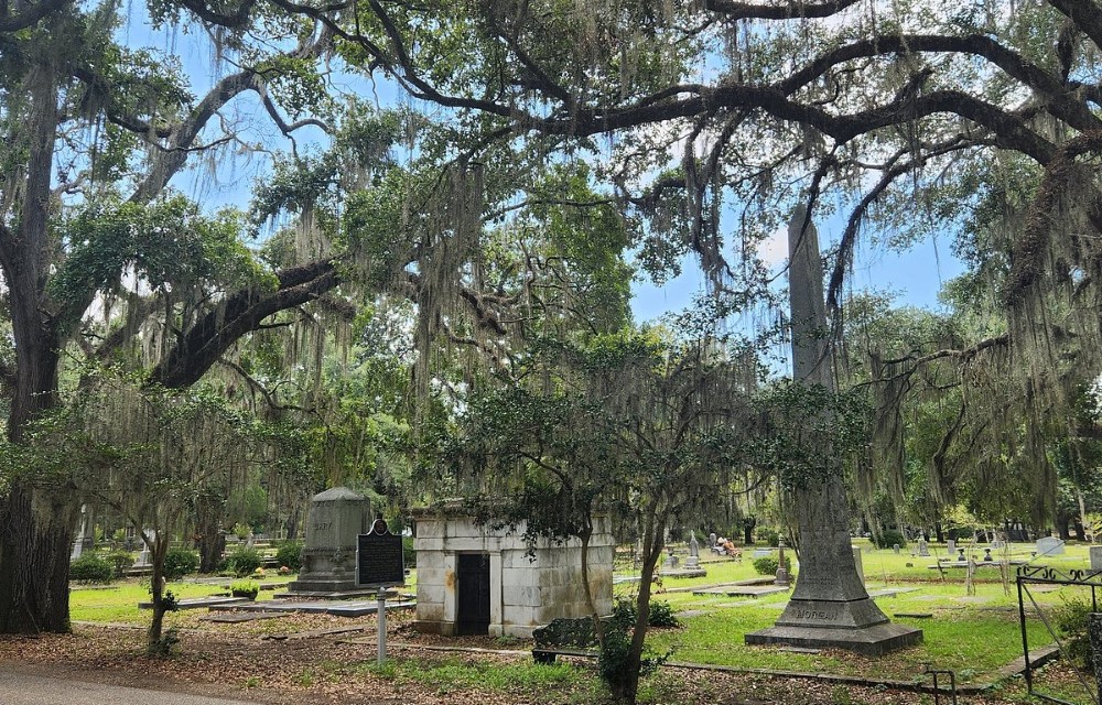 Luxury Inn and Suites at Old Live Oak Cemetery