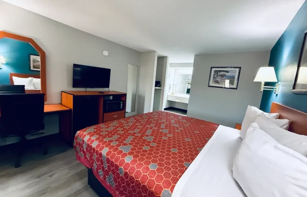 Gallery Pictures