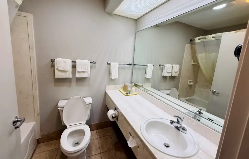 Gallery Pictures