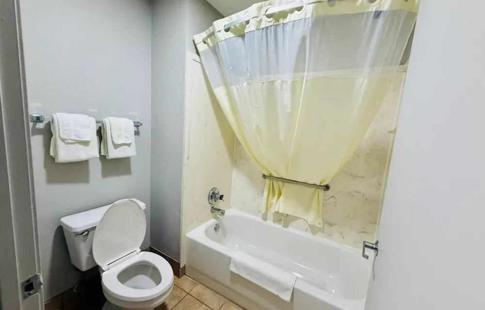Gallery Pictures